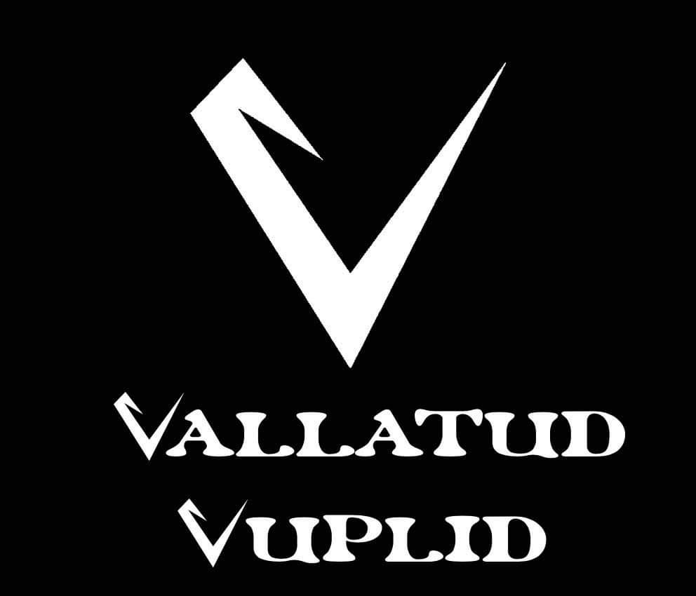vuplite logo 1.jpg